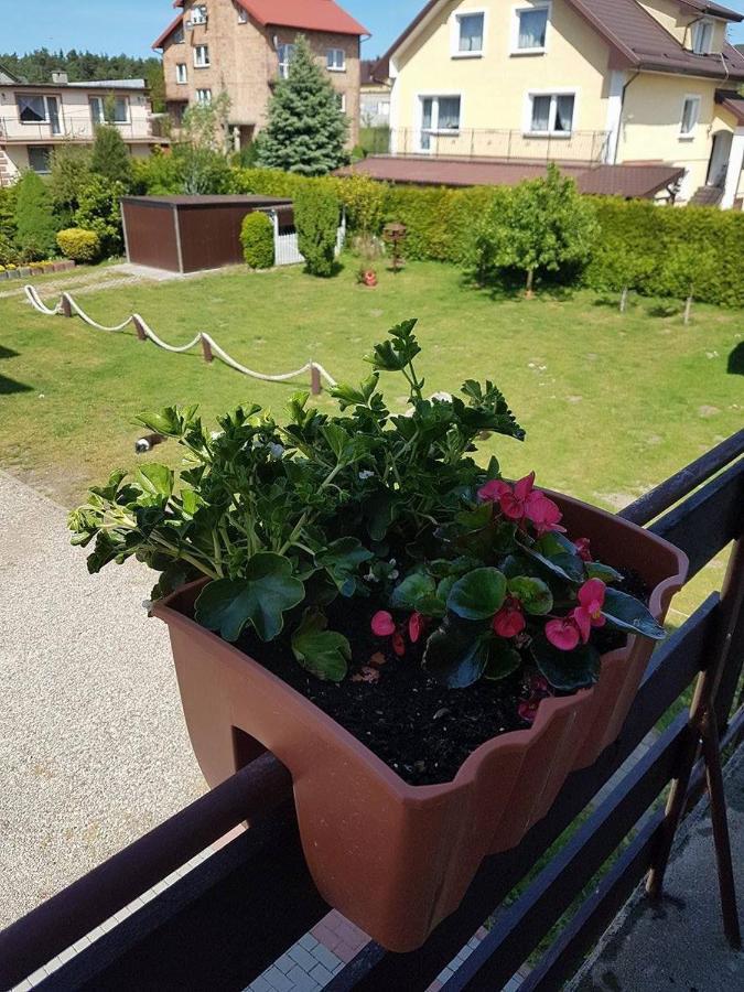 Pokoje Goscinne Irena Mieroszyno Exterior foto